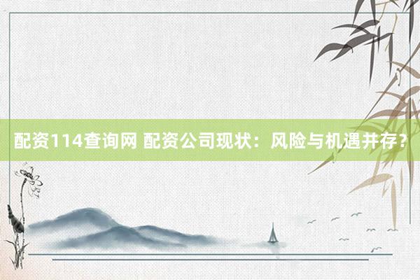配资114查询网 配资公司现状：风险与机遇并存？