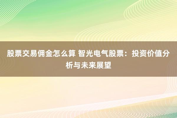 股票交易佣金怎么算 智光电气股票：投资价值分析与未来展望