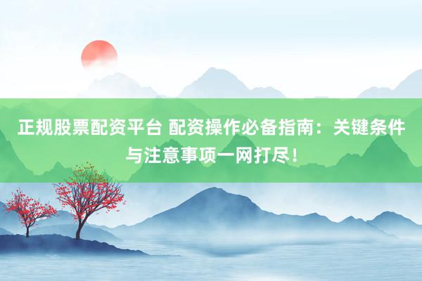 正规股票配资平台 配资操作必备指南：关键条件与注意事项一网打尽！