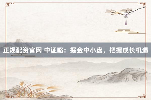 正规配资官网 中证略：掘金中小盘，把握成长机遇