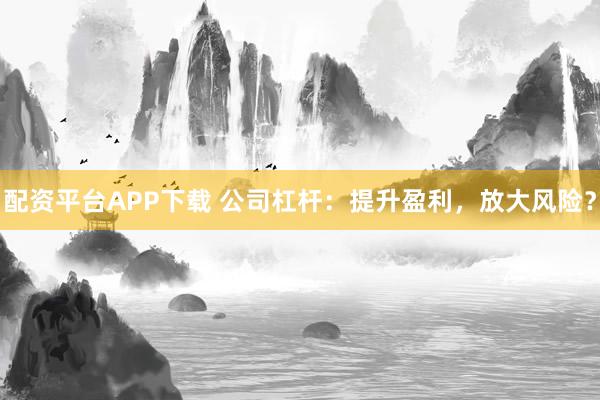 配资平台APP下载 公司杠杆：提升盈利，放大风险？