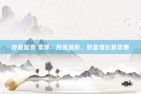 炒股配资 雪球：投资进阶，财富增长新攻略