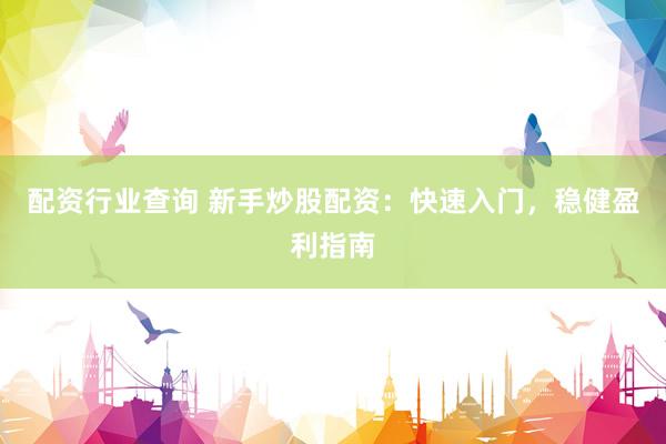 配资行业查询 新手炒股配资：快速入门，稳健盈利指南