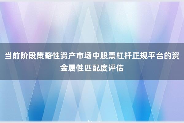 当前阶段策略性资产市场中股票杠杆正规平台的资金属性匹配度评估