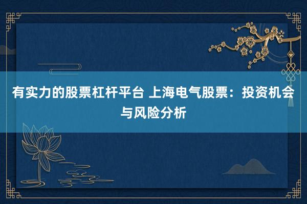 有实力的股票杠杆平台 上海电气股票：投资机会与风险分析