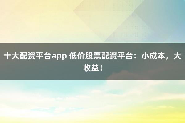 十大配资平台app 低价股票配资平台：小成本，大收益！
