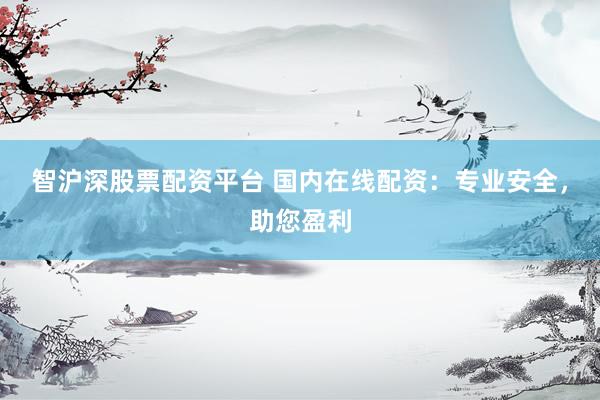 智沪深股票配资平台 国内在线配资：专业安全，助您盈利