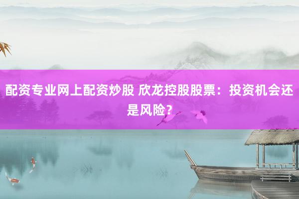 配资专业网上配资炒股 欣龙控股股票：投资机会还是风险？