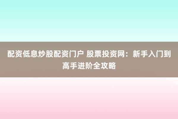 配资低息炒股配资门户 股票投资网：新手入门到高手进阶全攻略